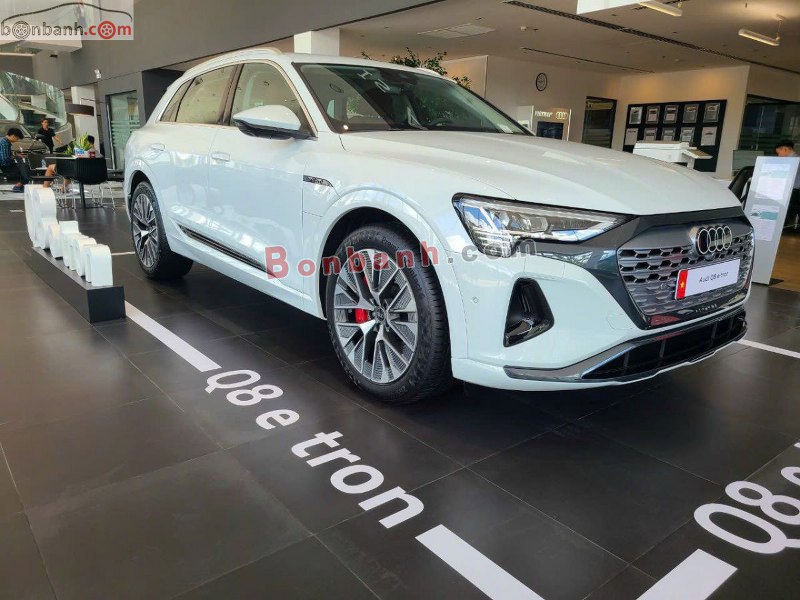 Ngoại thất Audi Q8 e-tron 2024