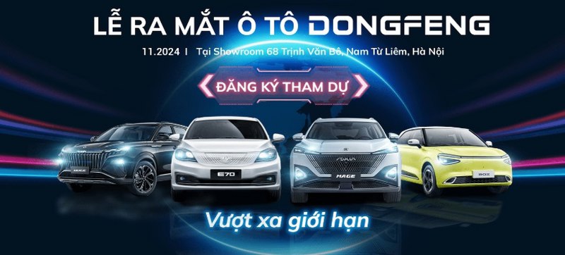 BYD Việt Nam