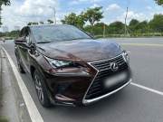 Bán xe Lexus NX 2018 300 giá 1 Tỷ 490 Triệu - TP HCM