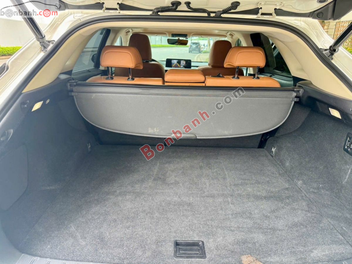 Lexus RX 300 2021 - 2 Tỷ 490 Triệu 6