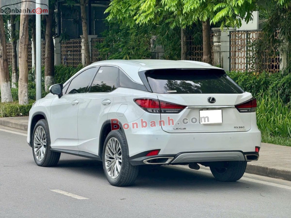 Lexus RX 300 2021 - 2 Tỷ 490 Triệu 4