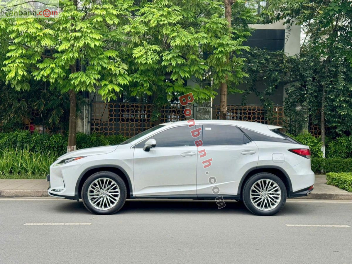 Lexus RX 300 2021 - 2 Tỷ 490 Triệu 3
