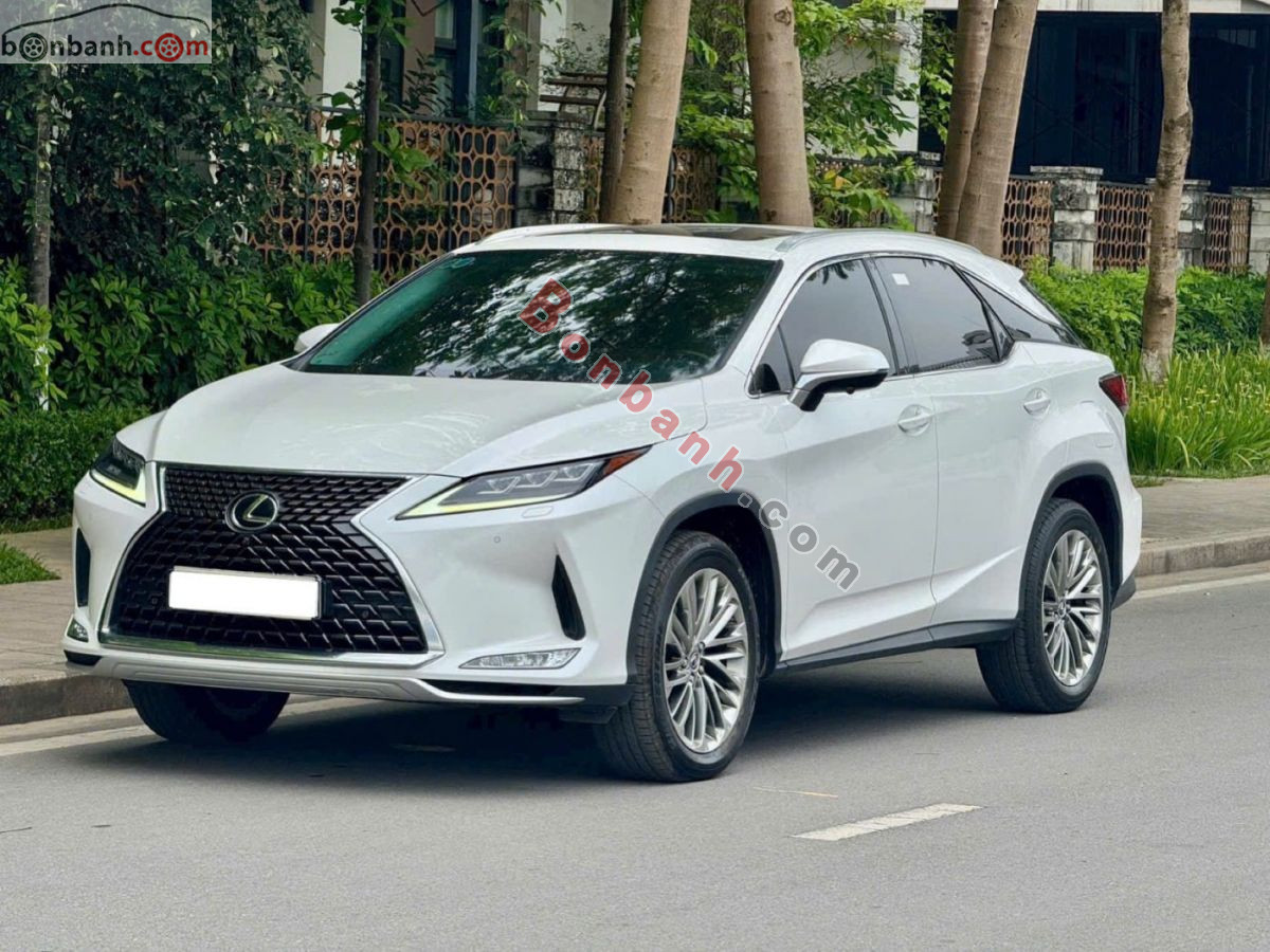 Lexus RX 300 2021 - 2 Tỷ 490 Triệu 2