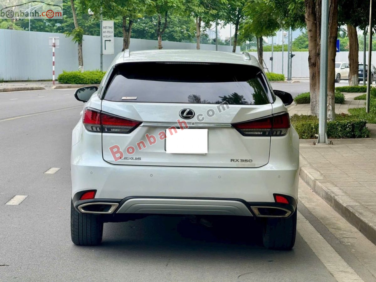 Lexus RX 300 2021 - 2 Tỷ 490 Triệu 5