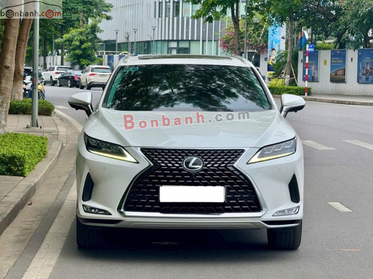 Lexus RX 300 2021 - 2 Tỷ 490 Triệu