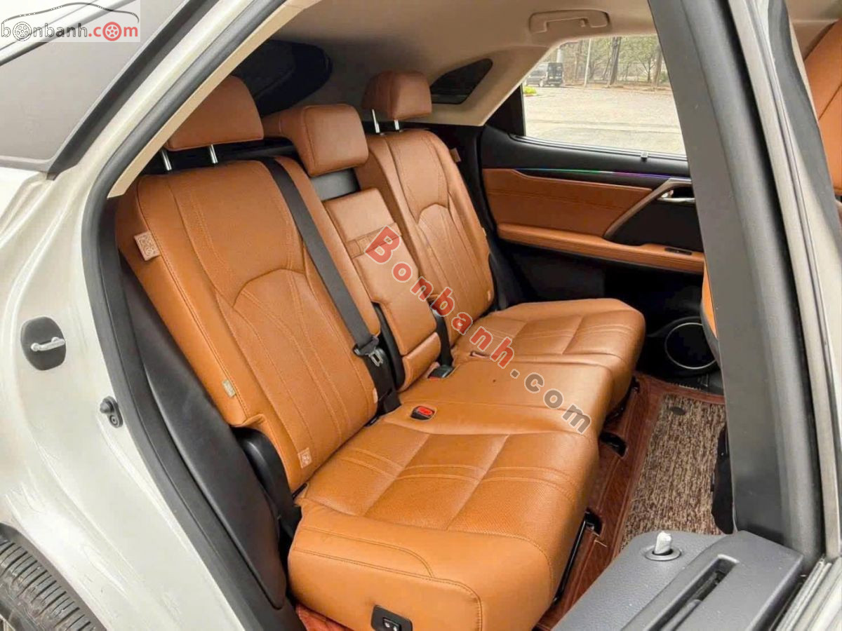 Lexus RX 300 2021 - 2 Tỷ 530 Triệu 10