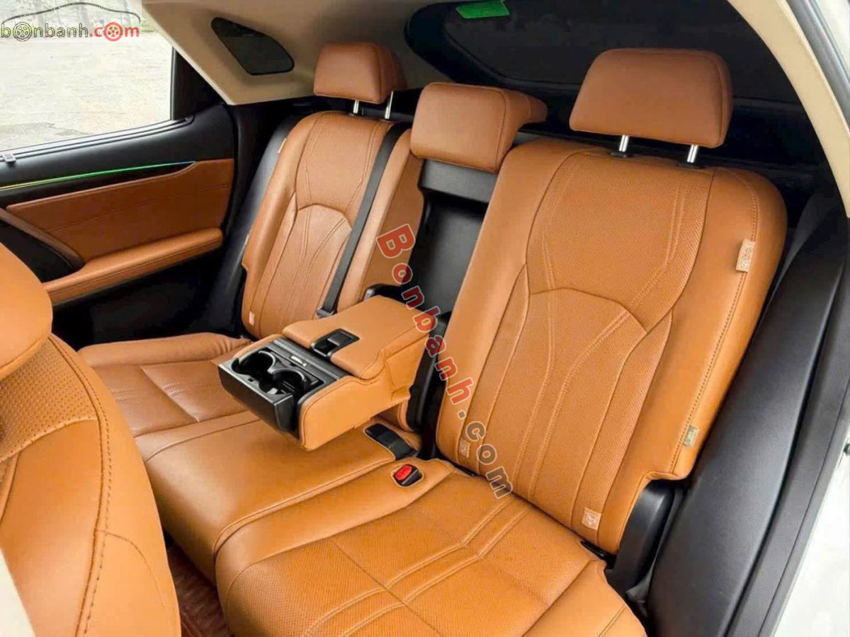 Lexus RX 300 2021 - 2 Tỷ 530 Triệu 9