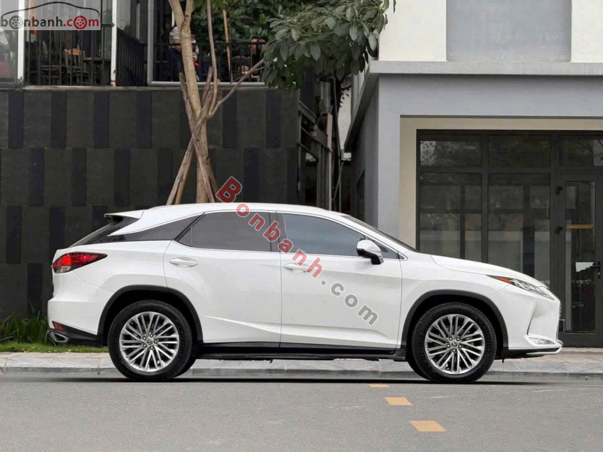 Lexus RX 300 2021 - 2 Tỷ 530 Triệu 2