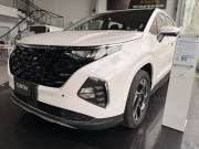 Bán xe Hyundai Custin 2025 Cao Cấp 2.0T giá 961 Triệu - TP HCM
