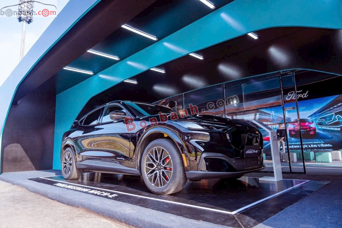 Ford Mustang Mach-E Premium AWD 2025 - 1 Tỷ 699 Triệu 6