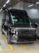 Bán xe Ford Transit 2025 Limousine 10S giá 1 Tỷ 199 Triệu - TP HCM
