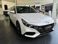 Bán xe Hyundai Elantra 2024 N-Line 1.6 Turbo AT giá 736 Triệu - Hải Phòng