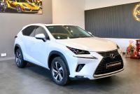 Bán xe Lexus NX 2018 300 giá 1 Tỷ 759 Triệu - TP HCM