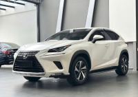 Bán xe Lexus NX 2019 300 giá 1 Tỷ 679 Triệu - TP HCM