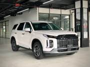 Bán xe Hyundai Palisade 2023 Exclusive 2.2 AT giá 1 Tỷ 299 Triệu - Hà Nội