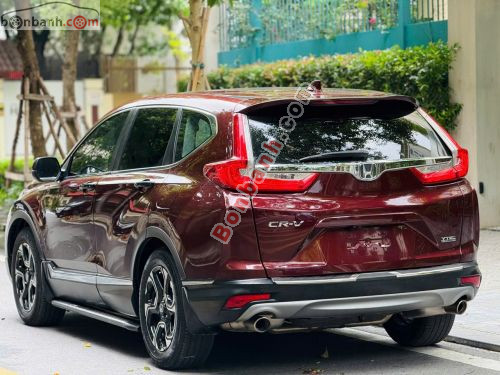 Ảnh số 12