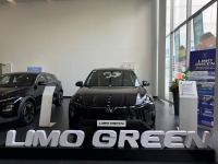 VinFast Limo Green 2025