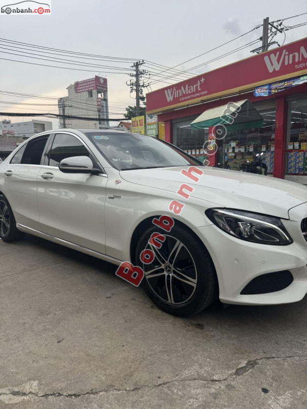 Ảnh số 5