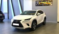 Bán xe Lexus NX 2018 300 giá 1 Tỷ 759 Triệu - TP HCM