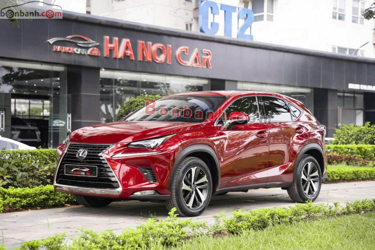 Lexus NX 300 2019 - 1 Tỷ 495 Triệu