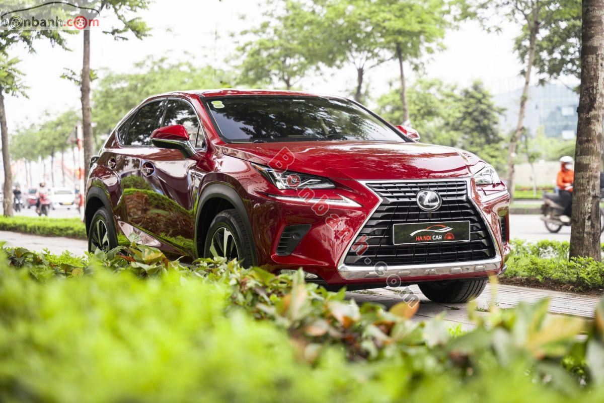 Lexus NX 300 2019 - 1 Tỷ 495 Triệu 2