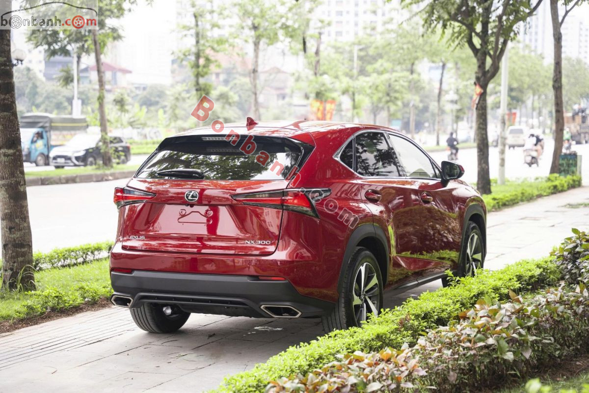 Lexus NX 300 2019 - 1 Tỷ 495 Triệu 4