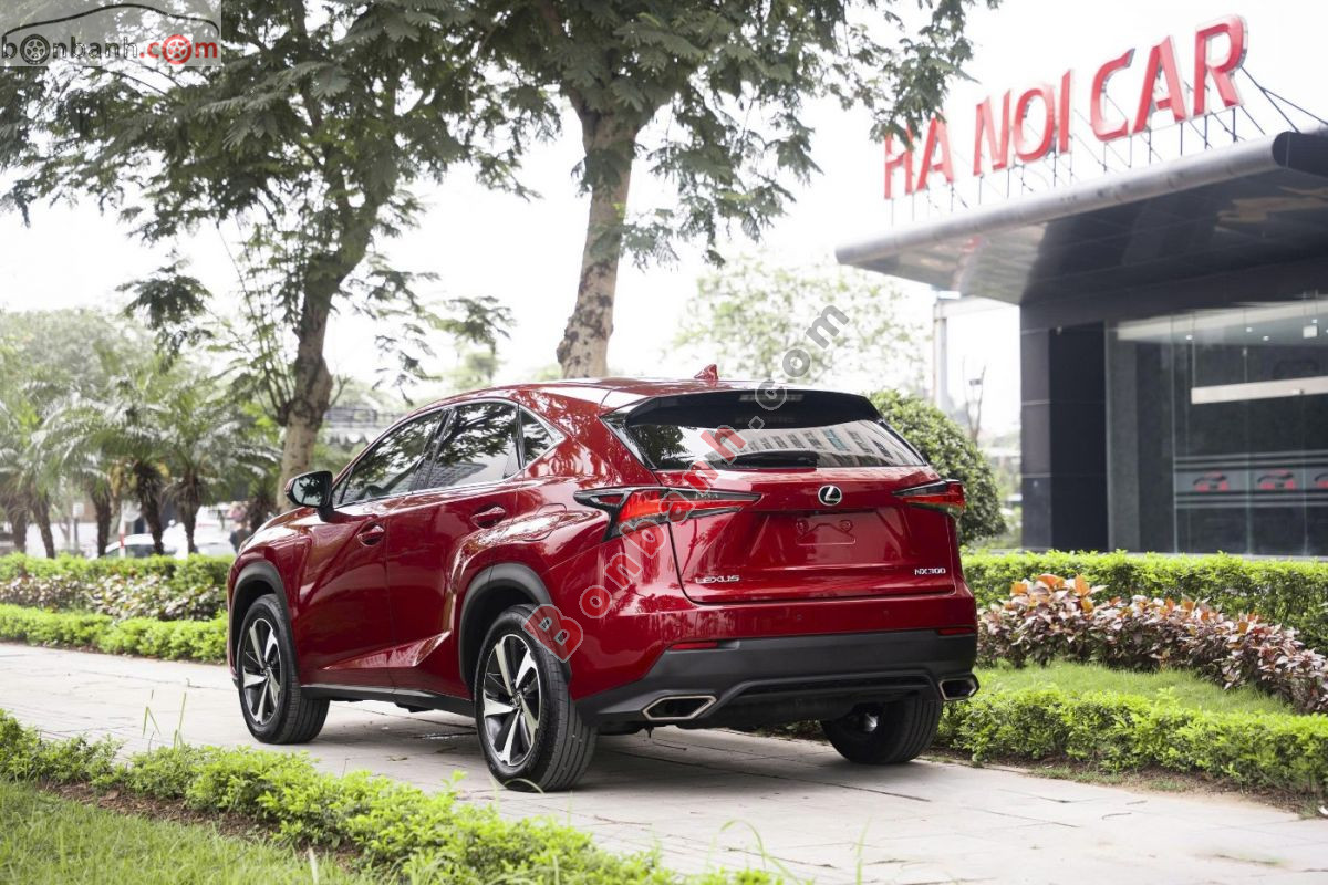 Lexus NX 300 2019 - 1 Tỷ 495 Triệu 5