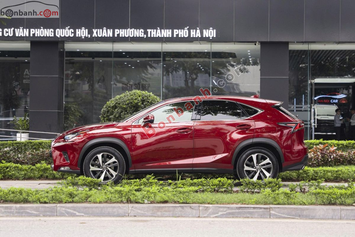 Lexus NX 300 2019 - 1 Tỷ 495 Triệu 3