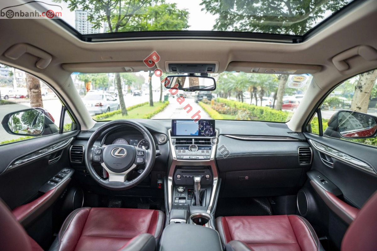 Lexus NX 300 2019 - 1 Tỷ 495 Triệu 8