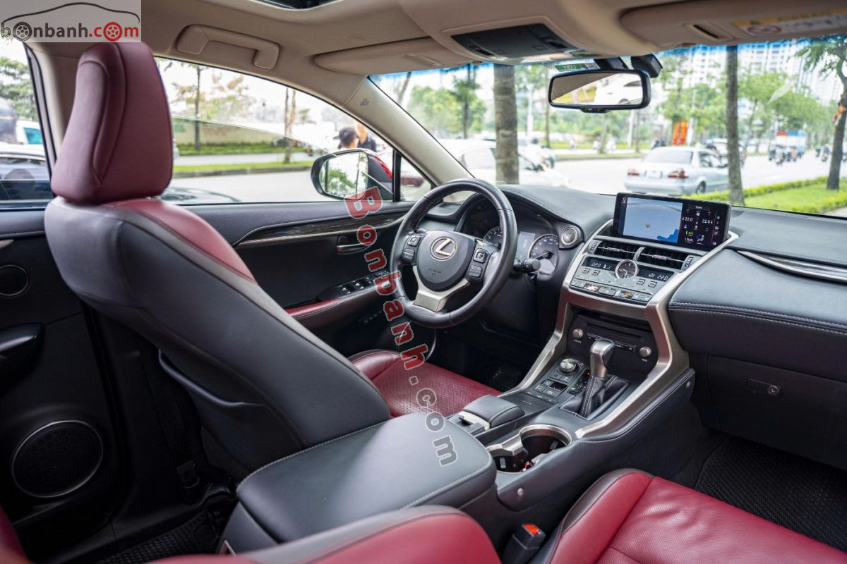 Lexus NX 300 2019 - 1 Tỷ 495 Triệu 7