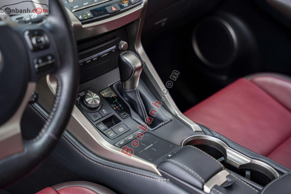 Lexus NX 300 2019 - 1 Tỷ 495 Triệu 9