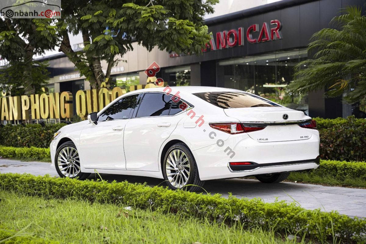 Lexus ES 250 2019 - 1 Tỷ 690 Triệu 3