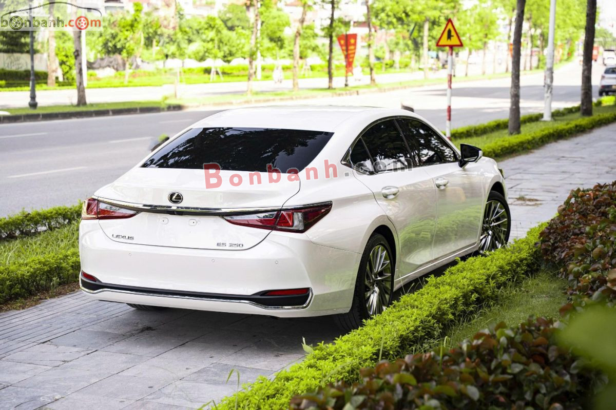 Lexus ES 250 2019 - 1 Tỷ 690 Triệu 4