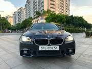 Bán xe BMW 5 Series 2013 520i giá 550 Triệu - TP HCM