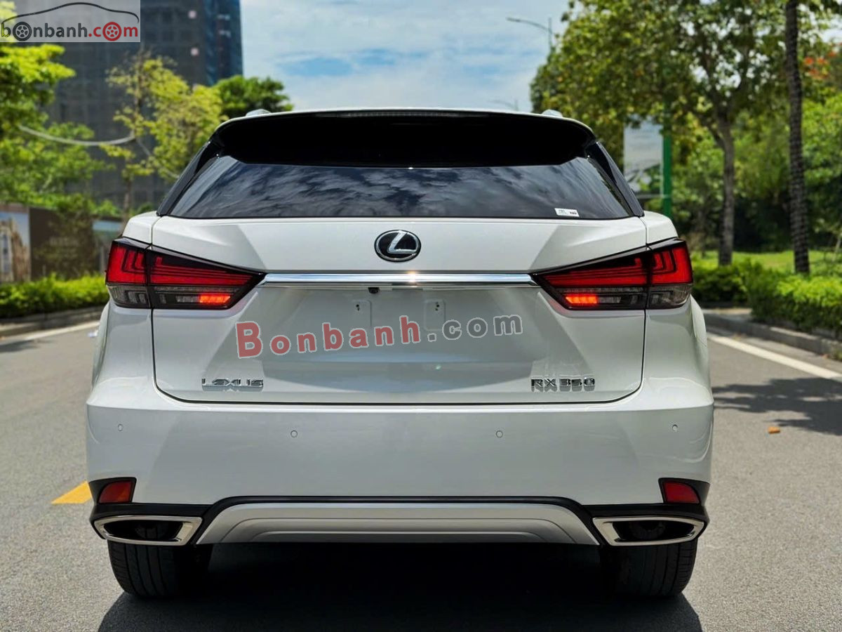 Lexus RX 300 2020 - 2 Tỷ 550 Triệu 4