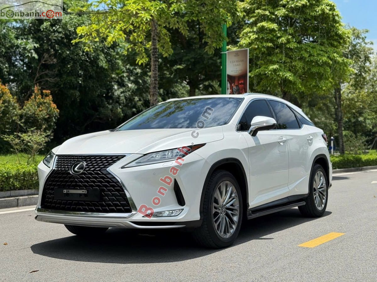 Lexus RX 300 2020 - 2 Tỷ 550 Triệu 2