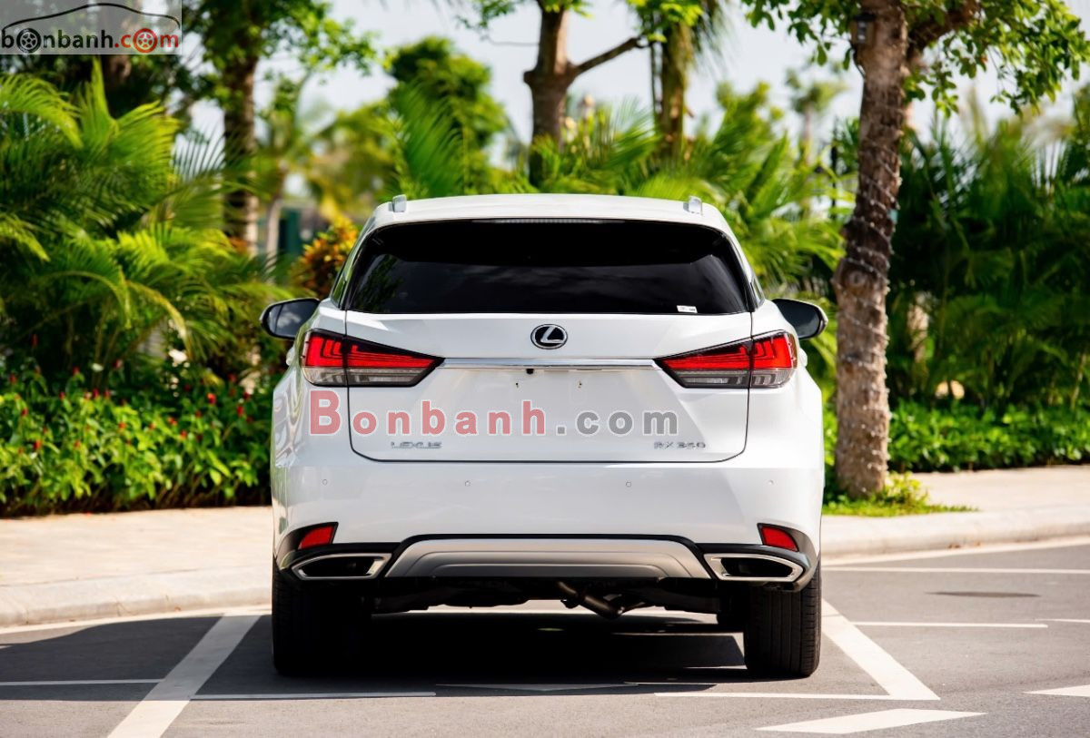 Lexus RX 300 2020 - 2 Tỷ 550 Triệu 2
