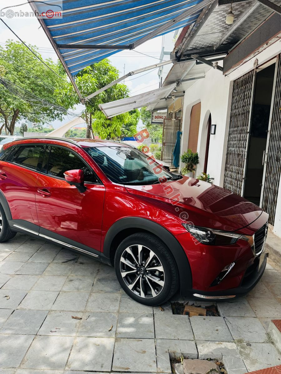 Ảnh số 7