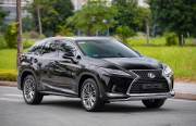 Bán xe Lexus RX 2019 300 giá 2 Tỷ 390 Triệu - Hà Nội