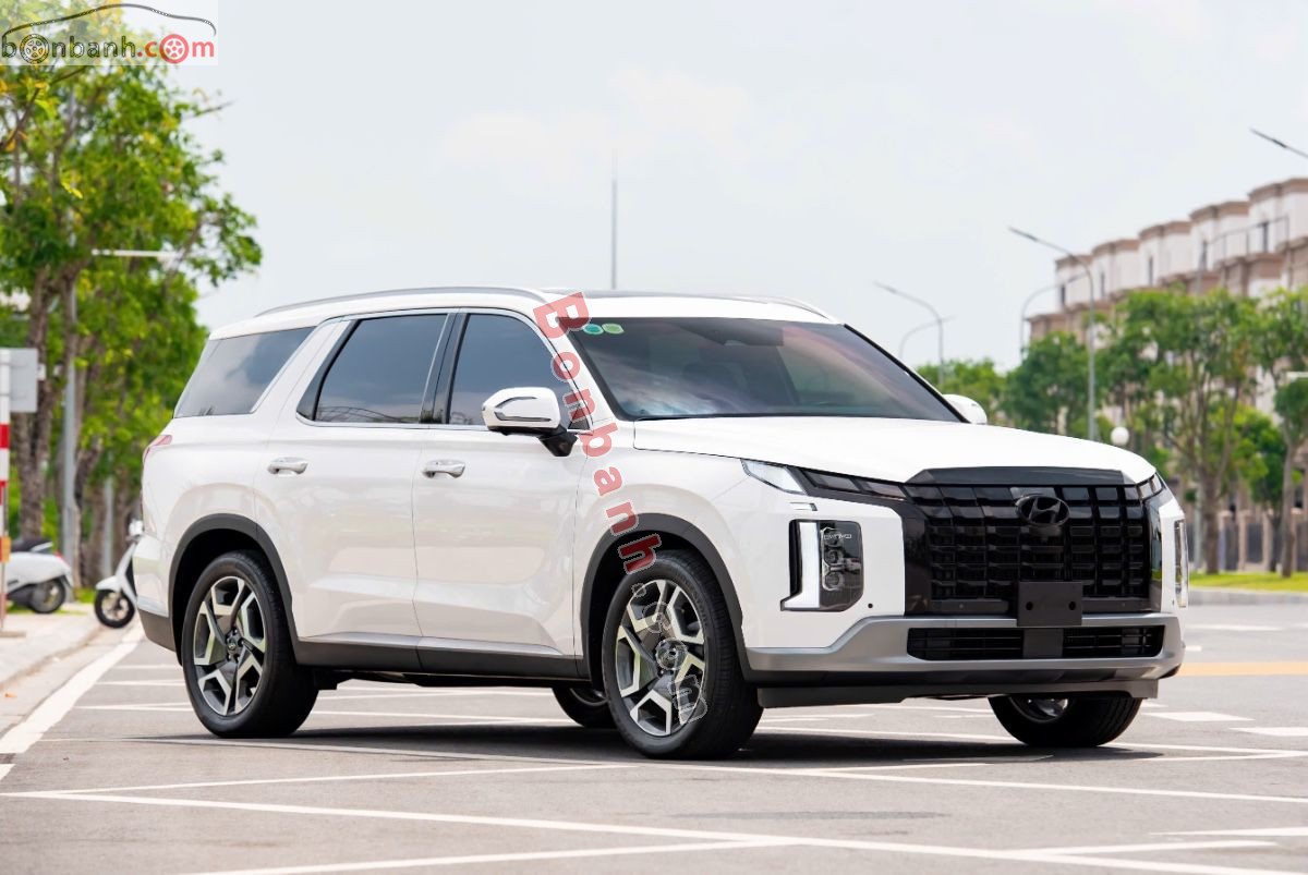 Hyundai Palisade Prestige 2.2 AT HTRAC 2024 - 1 Tỷ 369 Triệu 3