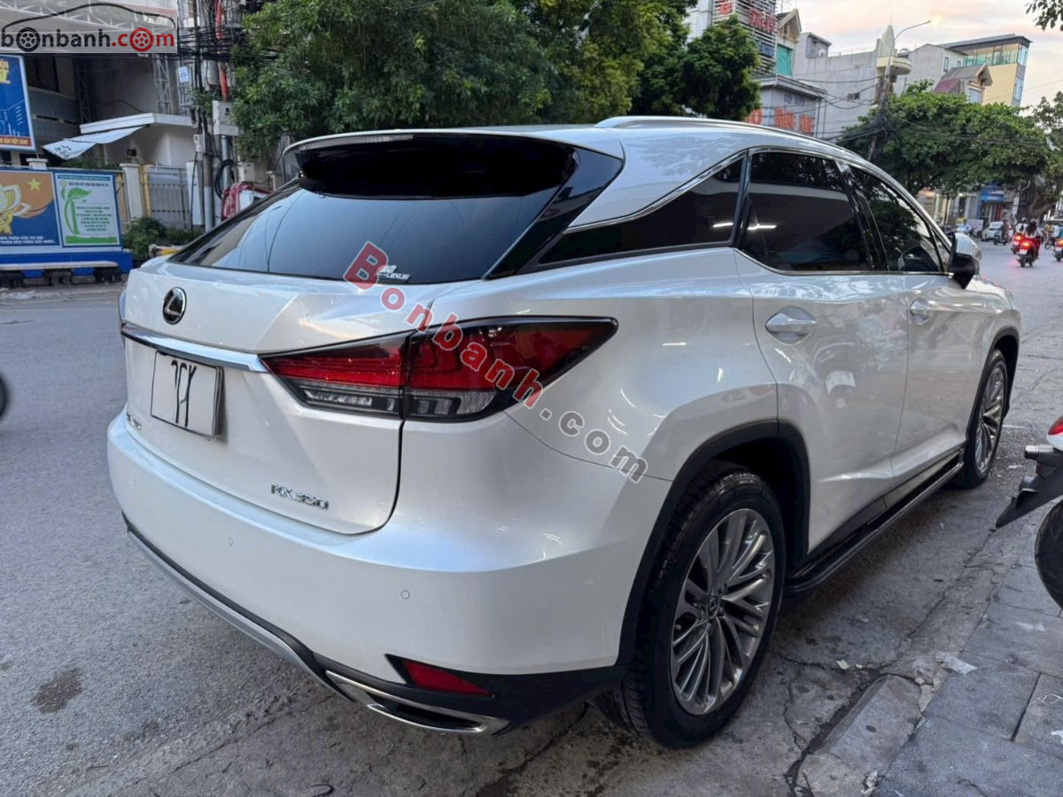Lexus RX 300 2021 - 2 Tỷ 599 Triệu 3