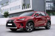 Bán xe Lexus NX 300 2021 giá 2 Tỷ 150 Triệu - Hà Nội