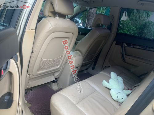 Ảnh số 10