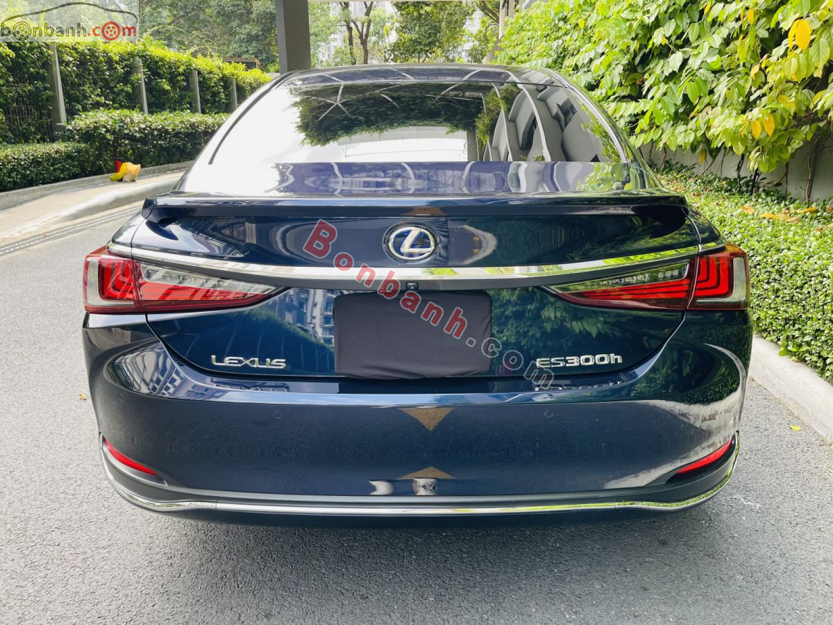 Lexus ES 300h 2020 - 1 Tỷ 980 Triệu 4