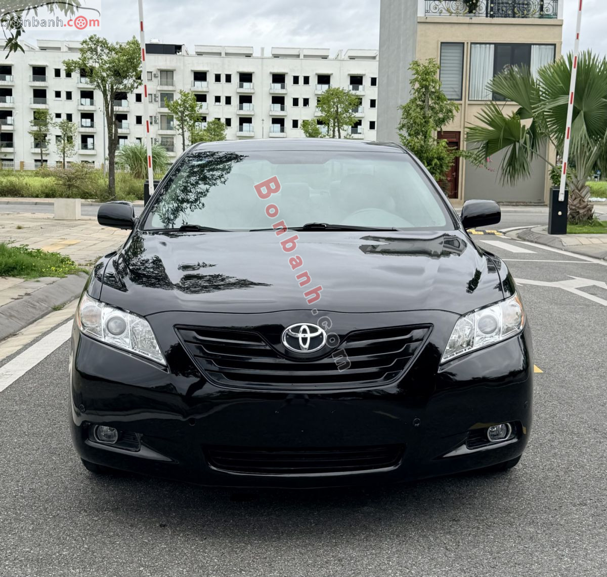 Toyota Camry LE 2.4 2008 - 295 Triệu