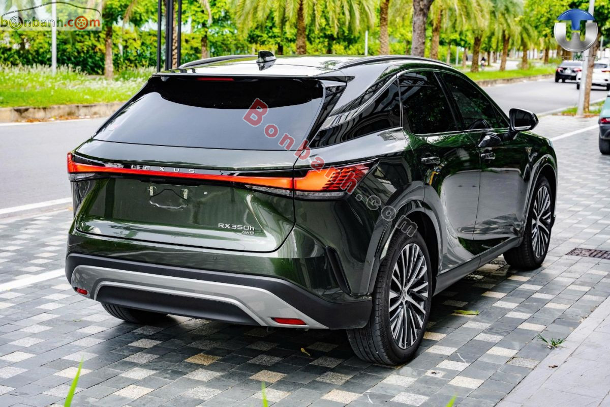Lexus RX 350h Premium 2025 - 3 Tỷ 539 Triệu 5