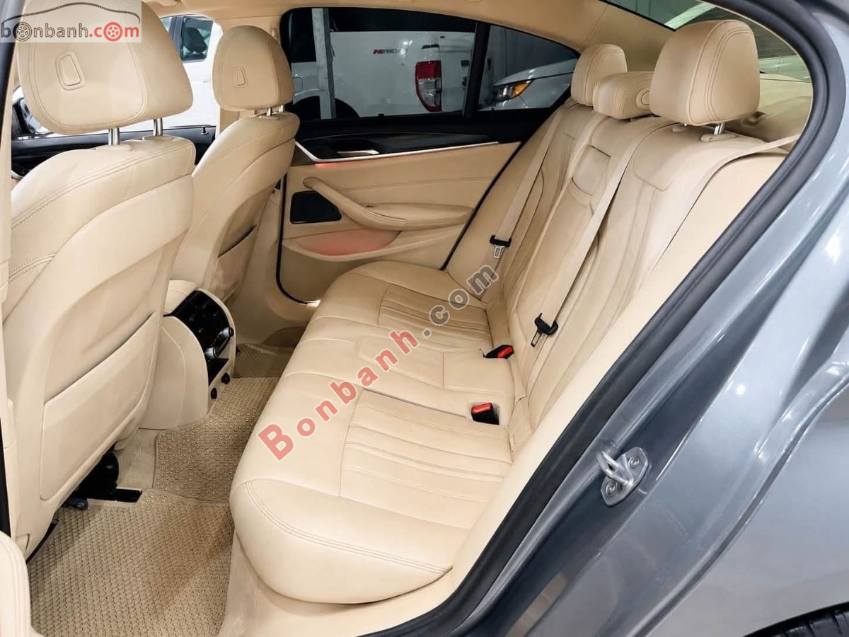 BMW 5 Series 530i Luxury Line 2019 - 1 Tỷ 200 Triệu 6