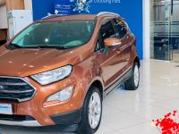 Bán xe Ford EcoSport Titanium 1.5L AT 2018 giá 440 Triệu - TP HCM