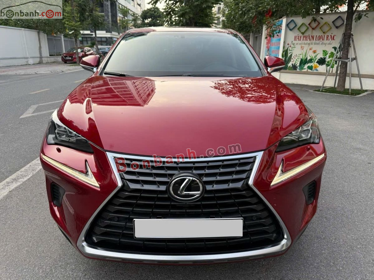 Lexus NX 300 2019 - 1 Tỷ 450 Triệu