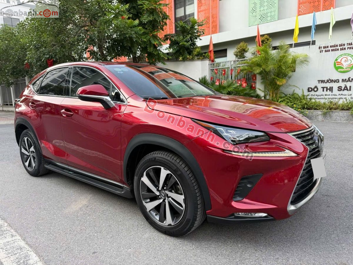 Lexus NX 300 2019 - 1 Tỷ 450 Triệu 2